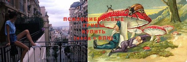 крисы Алексин