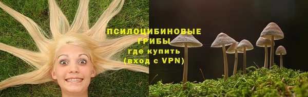 крисы Алексин